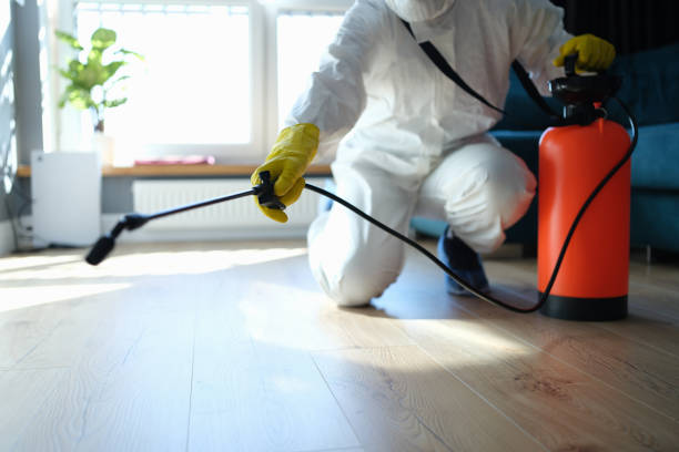 Trusted Hoarding Cleanup service in New Athens, IL - Four Month Blood Cleanse